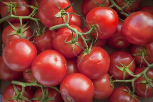 tomaten-foto-flickr-by-pieter-musterd-800x534